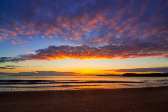 Stanmore Bay Hibiscus Coast.