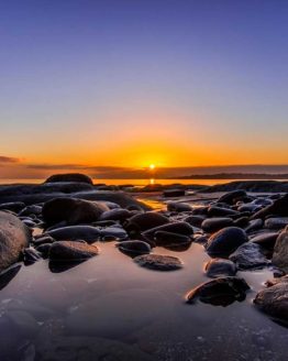 Stanmore Bay Hibiscus Coast.