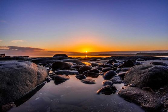 Stanmore Bay Hibiscus Coast.
