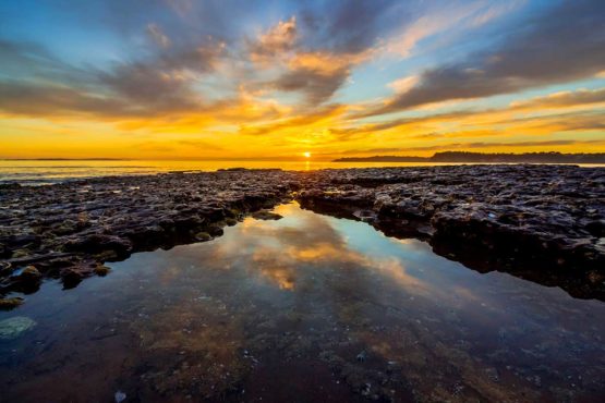 Stanmore Bay Hibiscus Coast.