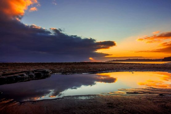 Stanmore Bay Hibiscus Coast.