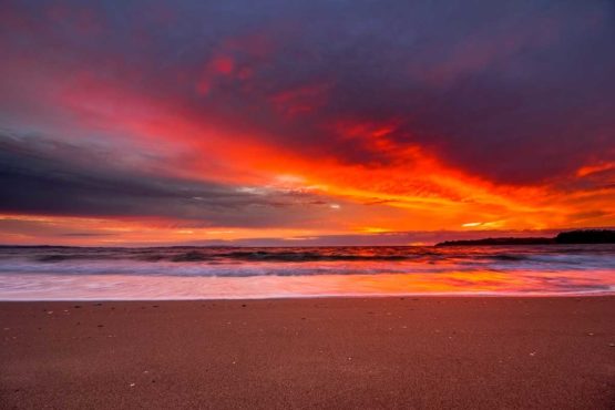 Stanmore Bay Hibiscus Coast.