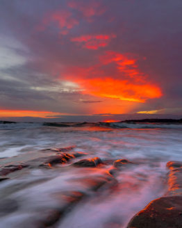 Stanmore Bay Hibiscus Coast.