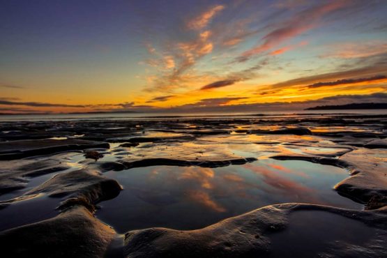 Stanmore Bay Hibiscus Coast.
