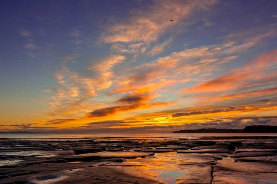 Stanmore Bay Hibiscus Coast.