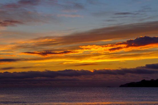 Stanmore Bay Hibiscus Coast.