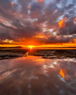 Hibiscus Coast Tindalls Bay