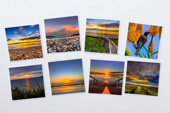 Fridge Magnets Hibiscus Coast.