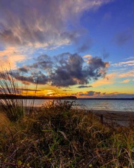 Big Manly Beach NZ