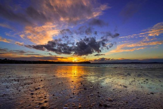 Big Manly Beach NZ