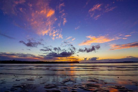 Big Manly Beach NZ