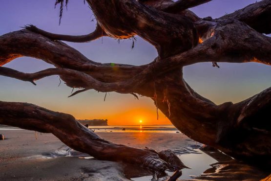 Hibiscus Coast. New Zealand