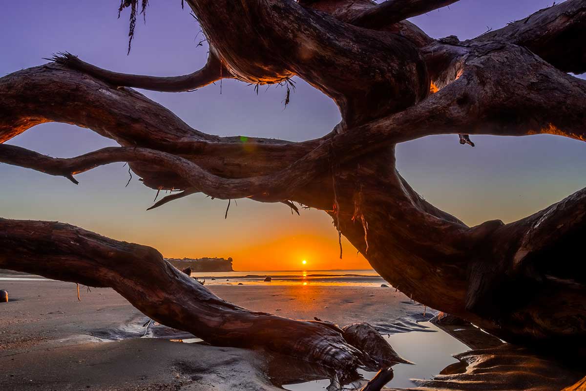 Hibiscus Coast. New Zealand