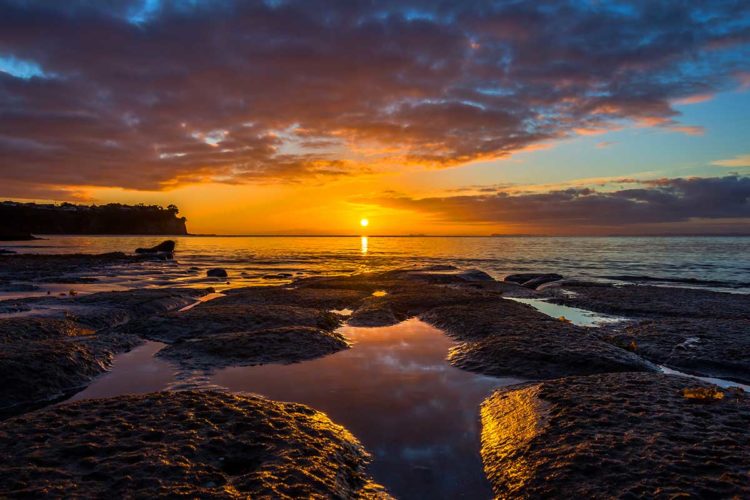 Hibiscus Coast. New Zealand