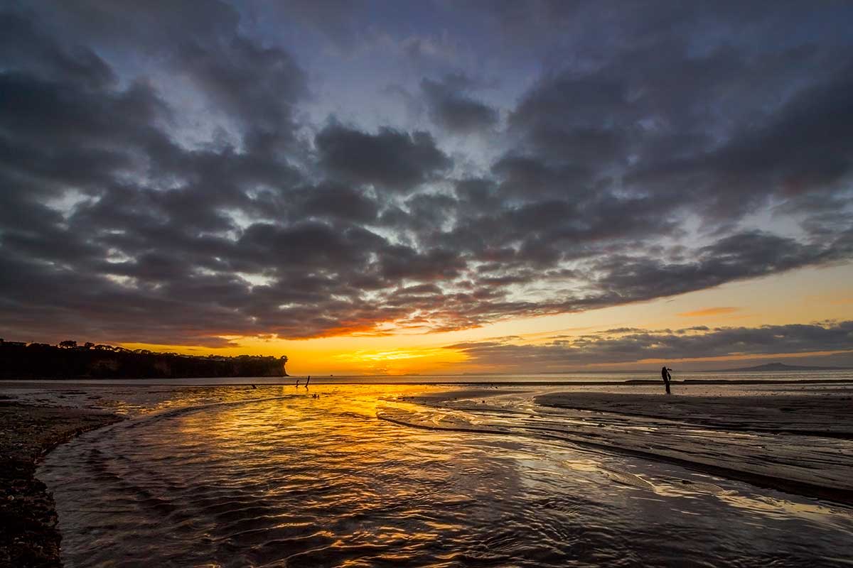 Hibiscus Coast. New Zealand