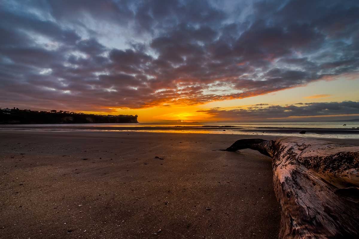 Hibiscus Coast. New Zealand