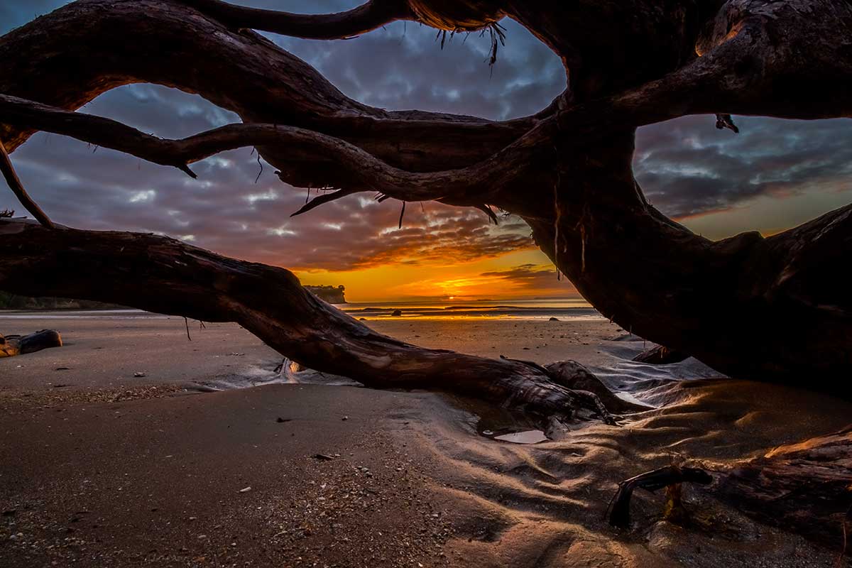 Hibiscus Coast. New Zealand
