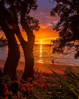 Hibiscus Coast Whangaparaoa