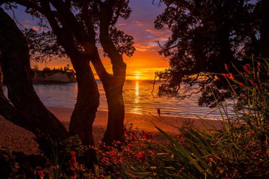 Hibiscus Coast Whangaparaoa