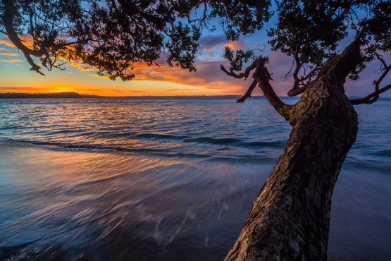 Hibiscus Coast Tindalls Bay