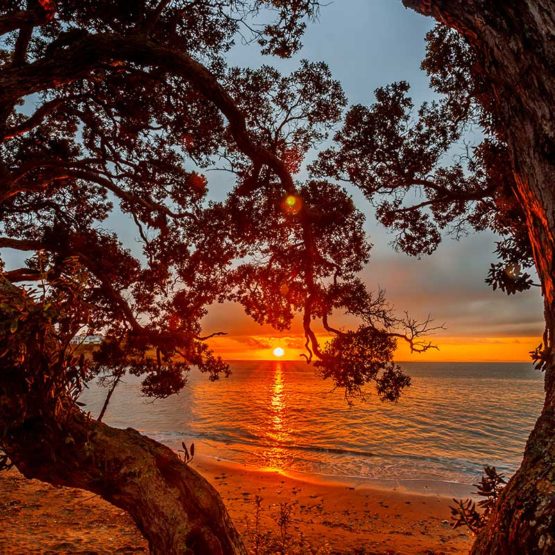 Whangaparaoa