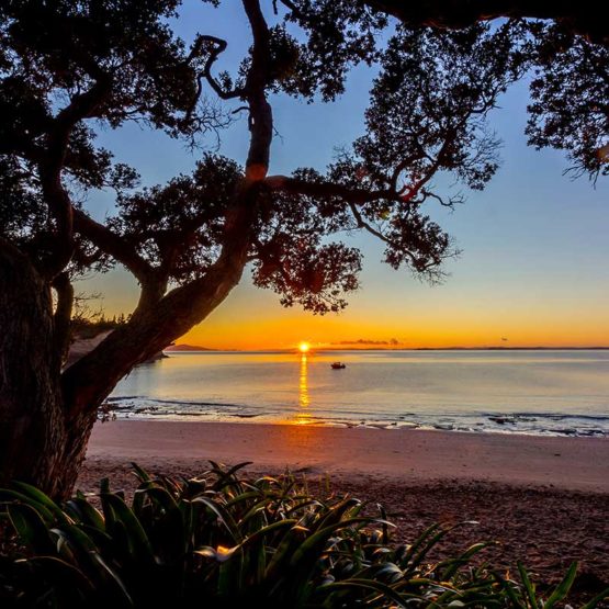 Whangaparaoa
