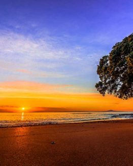 Hibiscus Coast