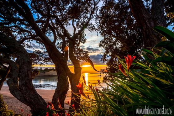 Roscoe. Little Manly Beach. 1.10.18. Unframed Print. 2.